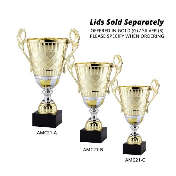 AMC21 Series - Imagen 2